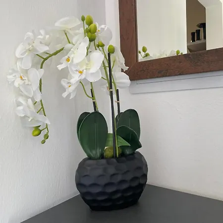 Sorinas Home - Comfortable Apartment Near Graz - Free Parking דירה *