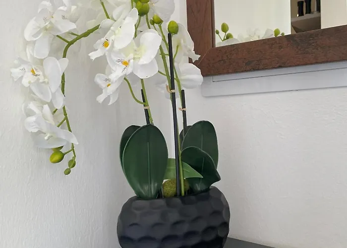 Sorinas - Comfortable Near Graz - Free Parking Apartment *